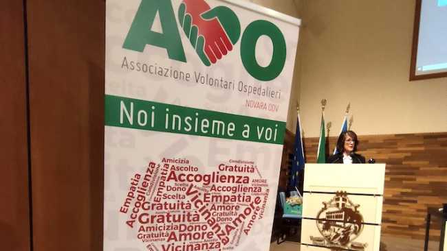avo festa