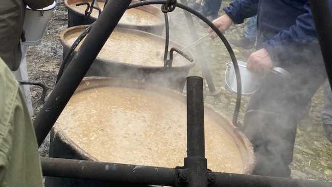 badia dulzago fagiolata 24