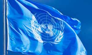 bandiera onu