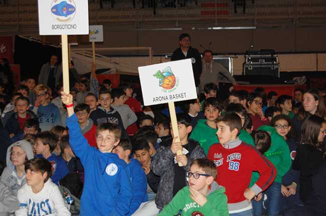 basket arona