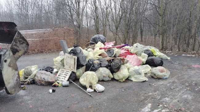 bellinzago pulizia boschi