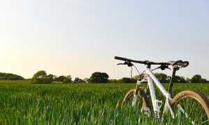 bicicletta campo