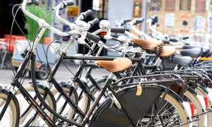 biciclette gruppo