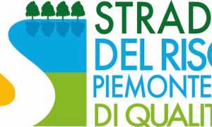 briona strada riso piemontese