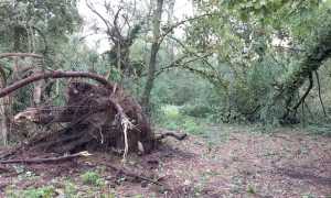 burchivf borgolavezzaro