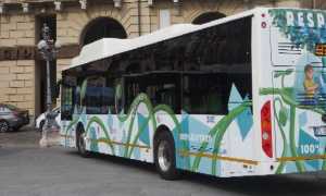 bus elettrici