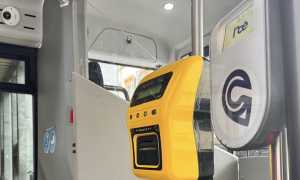 bus noe