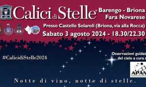 calici stelle 24