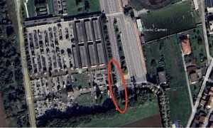 cameri alberature da abbattere