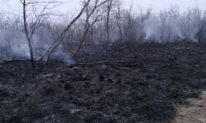 cameri fiamme bosco vedro 1