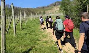 cammino colline novaresi
