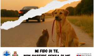 campagna enpa 25