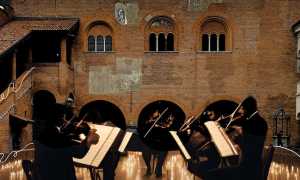 candlefai brol set 25