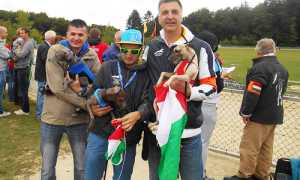 cane meina proprietario