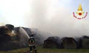 casalbeltrame rotoballe