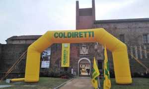 castello campagna amica