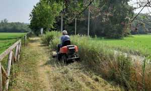 ciclo pedonale oleggio parco ticino