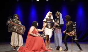 coccia aida