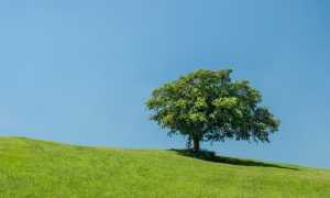 coldiretti natura