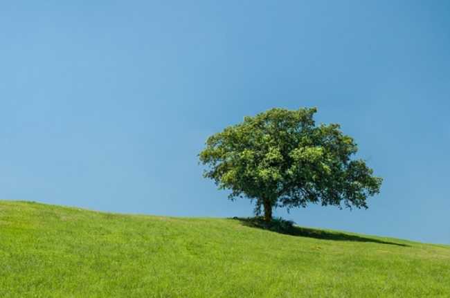 coldiretti natura