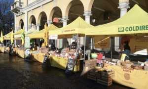 coldiretti campagna 1