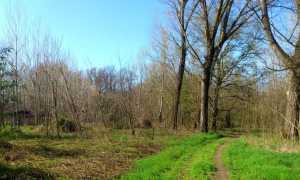 compensazione ambientale