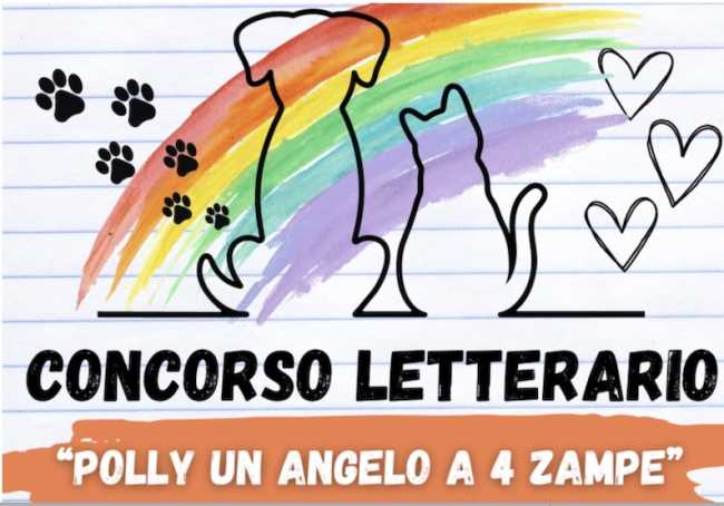 concorso astragalo polly