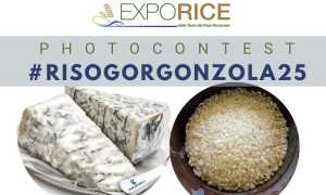 contest foto riso e gorgonzola 25