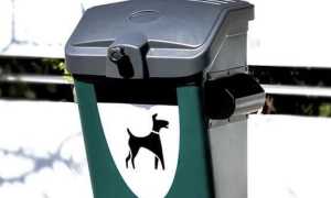 deiezioni canine trecate