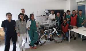 donaz gteam
