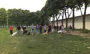 evento dog friendly trecate