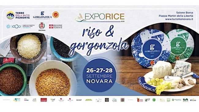 exporice riso e gorgonzola 25