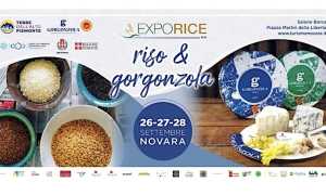 exporice riso e gorgonzola 25