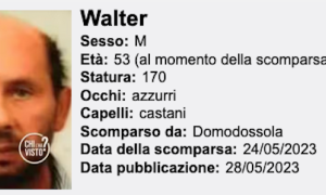 fallarini chi lha visto