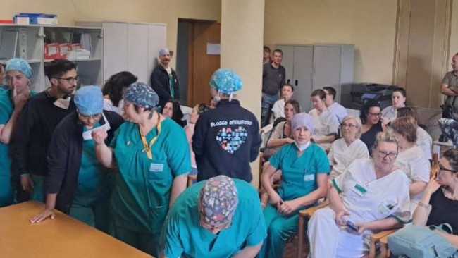 fara cedri foto
