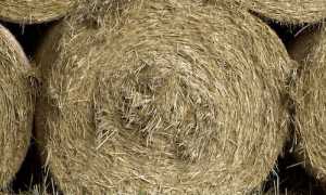 fieno