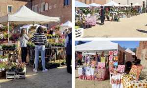 fiorissimo 2025 evento