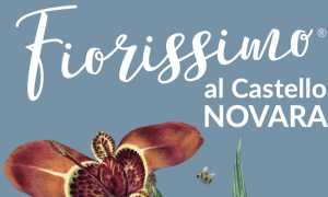 fiorissimo 25
