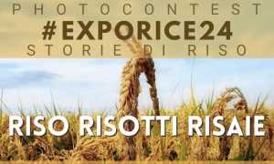 foto contest exporice 24
