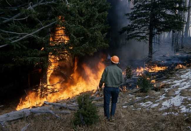 foto incendio forestale