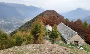 fracchia bassetta fabbri