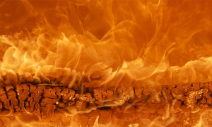 fuoco