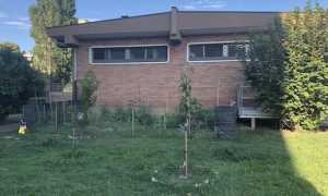 gad donatello ortojpeg