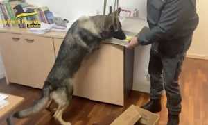 gdf brescia mazzette