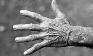 geriatria