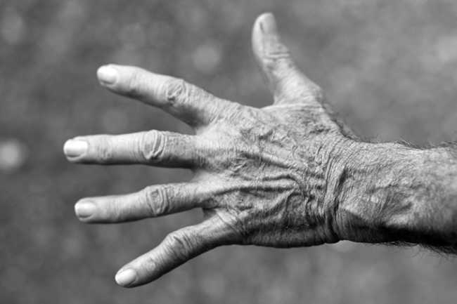 geriatria