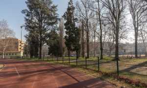 gorla novara