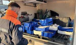 guardia costiera e fishing