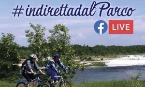 in diretta dal parco