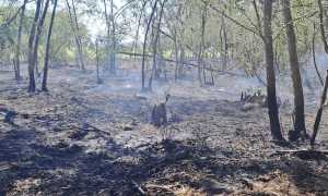 incendio barengo ago 25